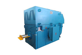 Squirrel Cage Motors