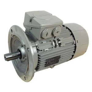Flange Type Electric Motor