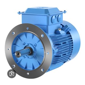 Flange Type Electric Motor
