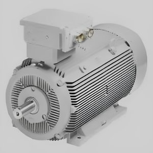 Induction Electric Motor