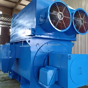 H.T Electric Motor