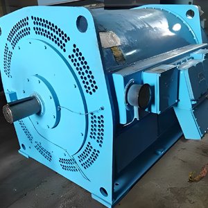 L.T Electric Motor